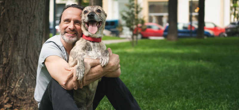 Les 5 signes que votre chien vieillit