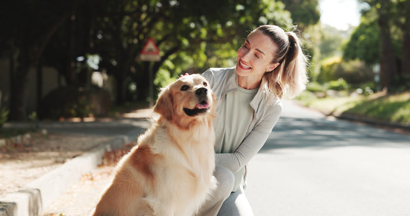 Quelle alimentation pour un chien senior ?