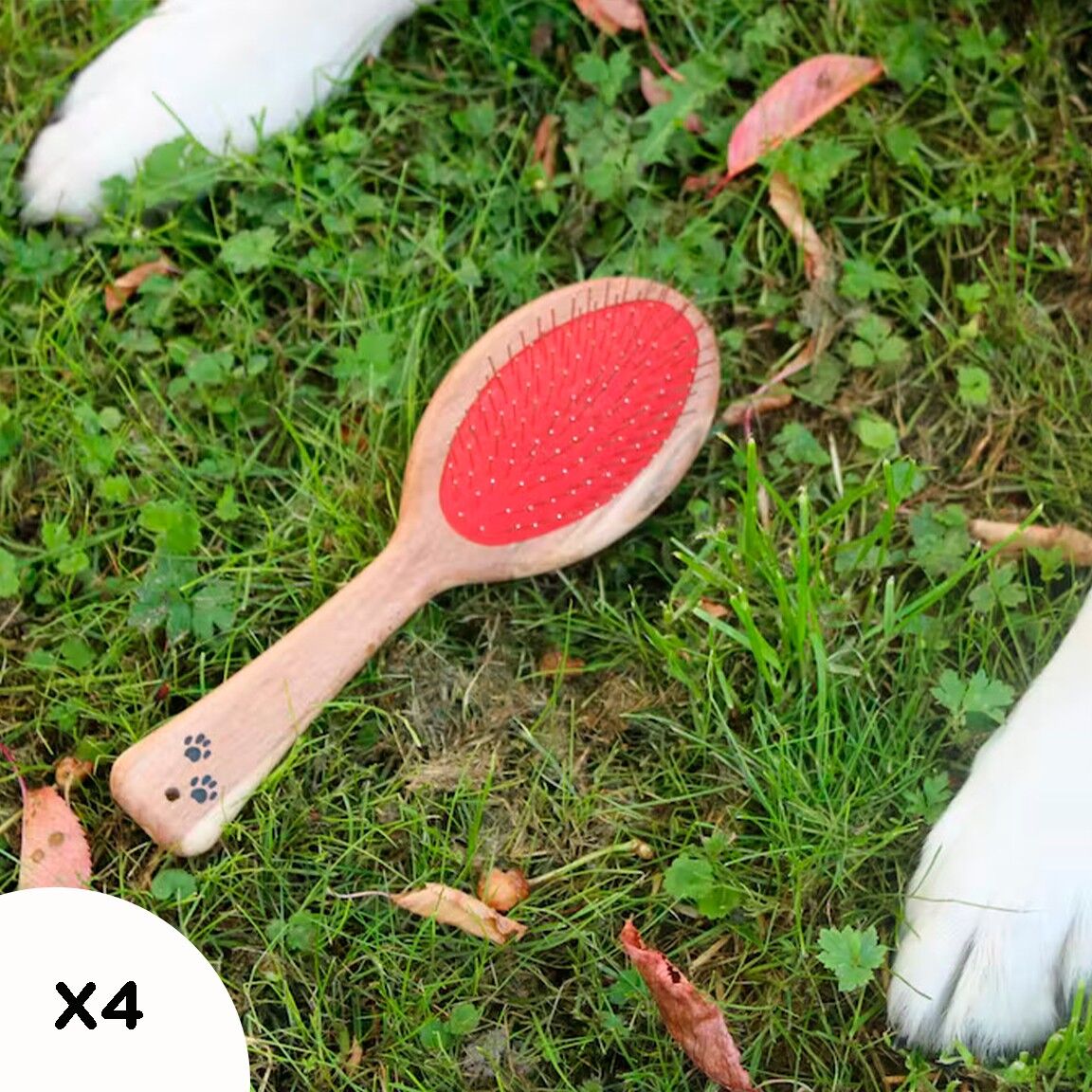 Grande brosse 2-en-1 en bois et picots métal pour toilettage des animaux - Vue 1