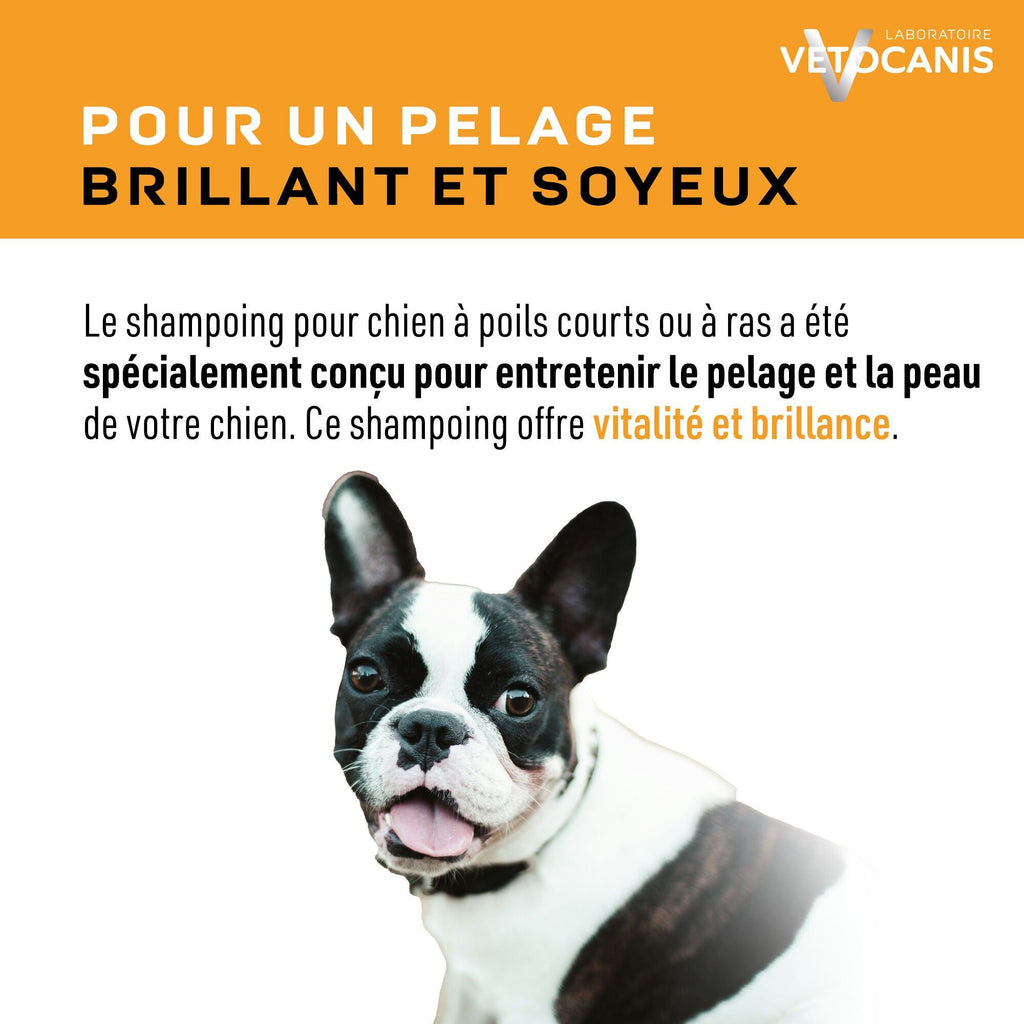 Shampoing Poils Courts pour Chien Pamplemousse 300ml - Vetocanis