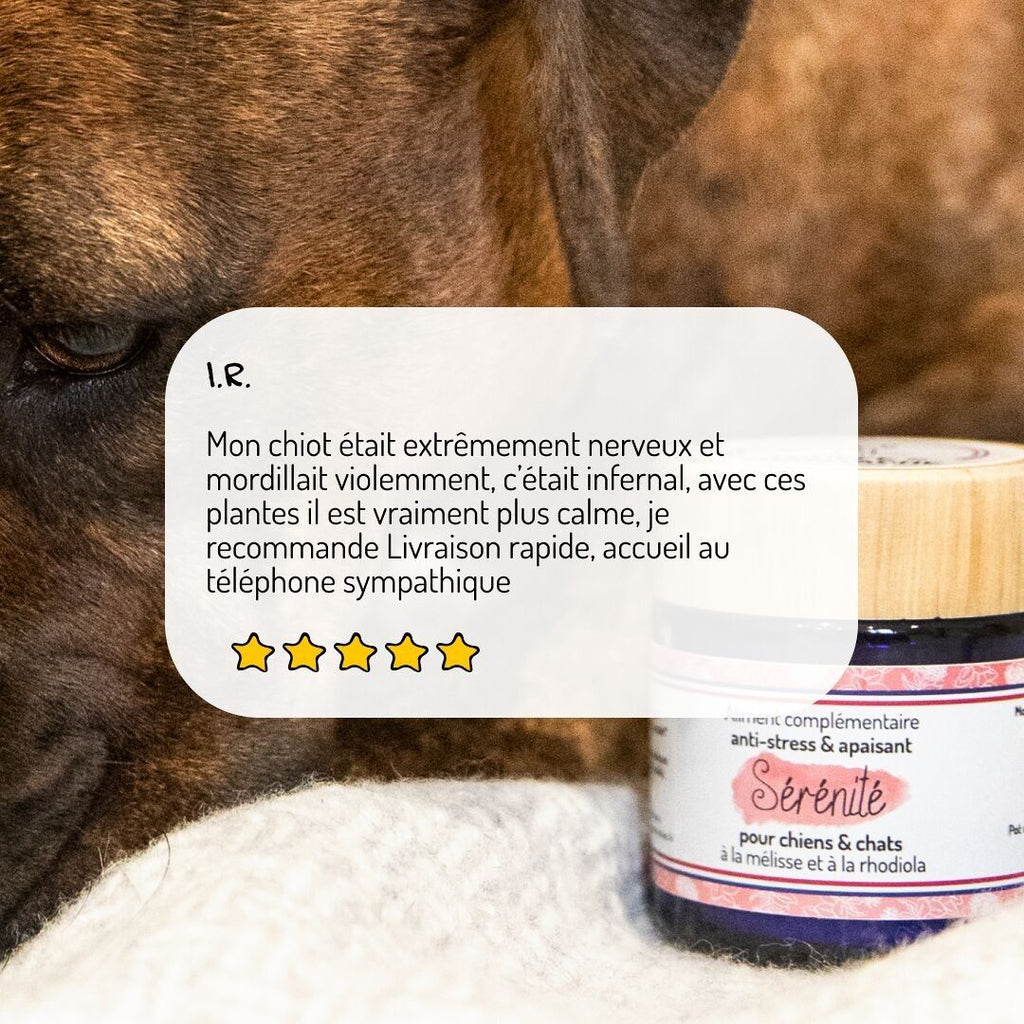 Antistress & Apaisant - Cure courte - Complément alimentaire - Truffe & Moustache