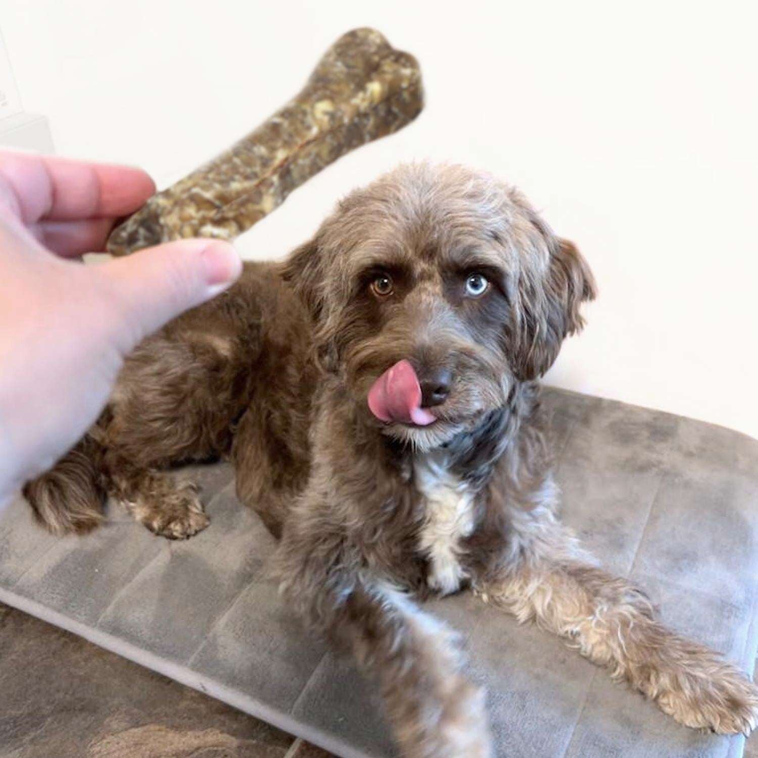 DOGBOSS Os à mâcher 100 naturels, chiot et senior, 100 peau de cerf, os pour ... - Vue 4