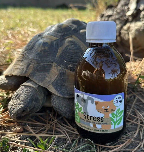 Sirop Naturel Anti-Stress 200mL - Chiens et Chats de - 10KG - Vue 2
