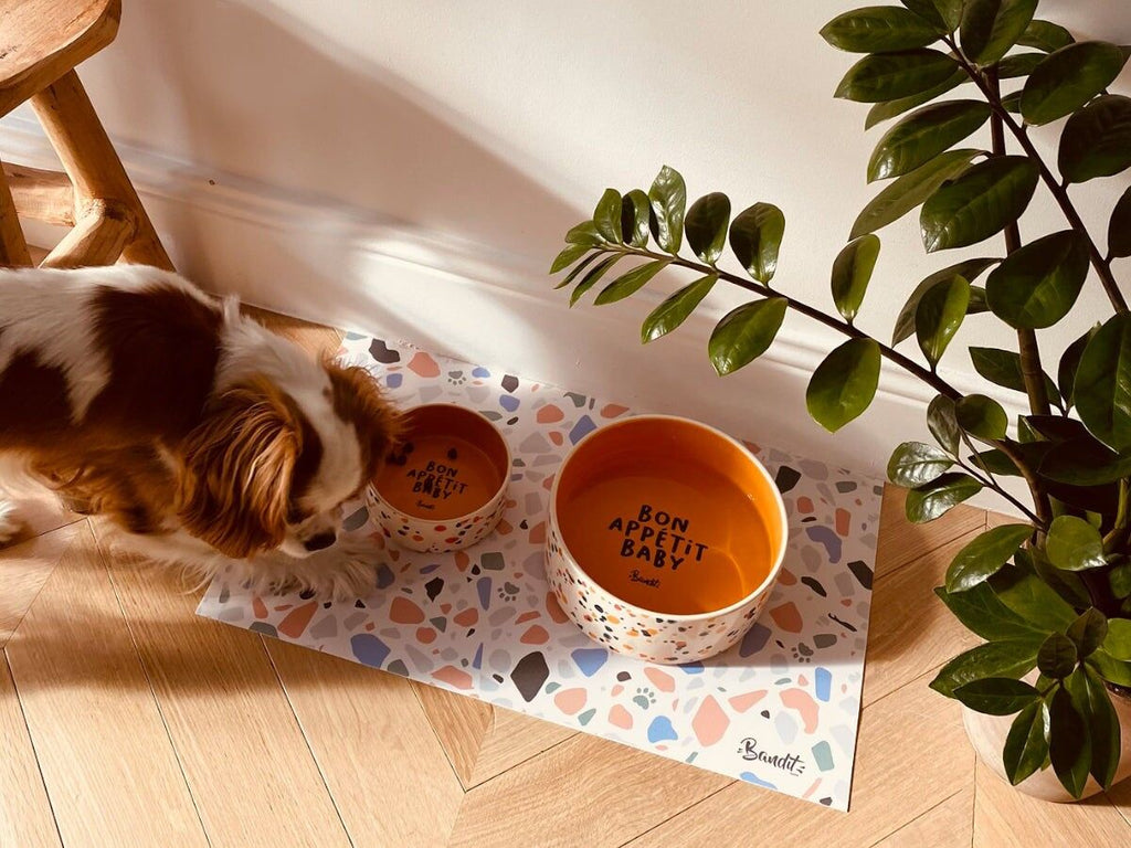 Gamelle pour chien  chat - Vue 5