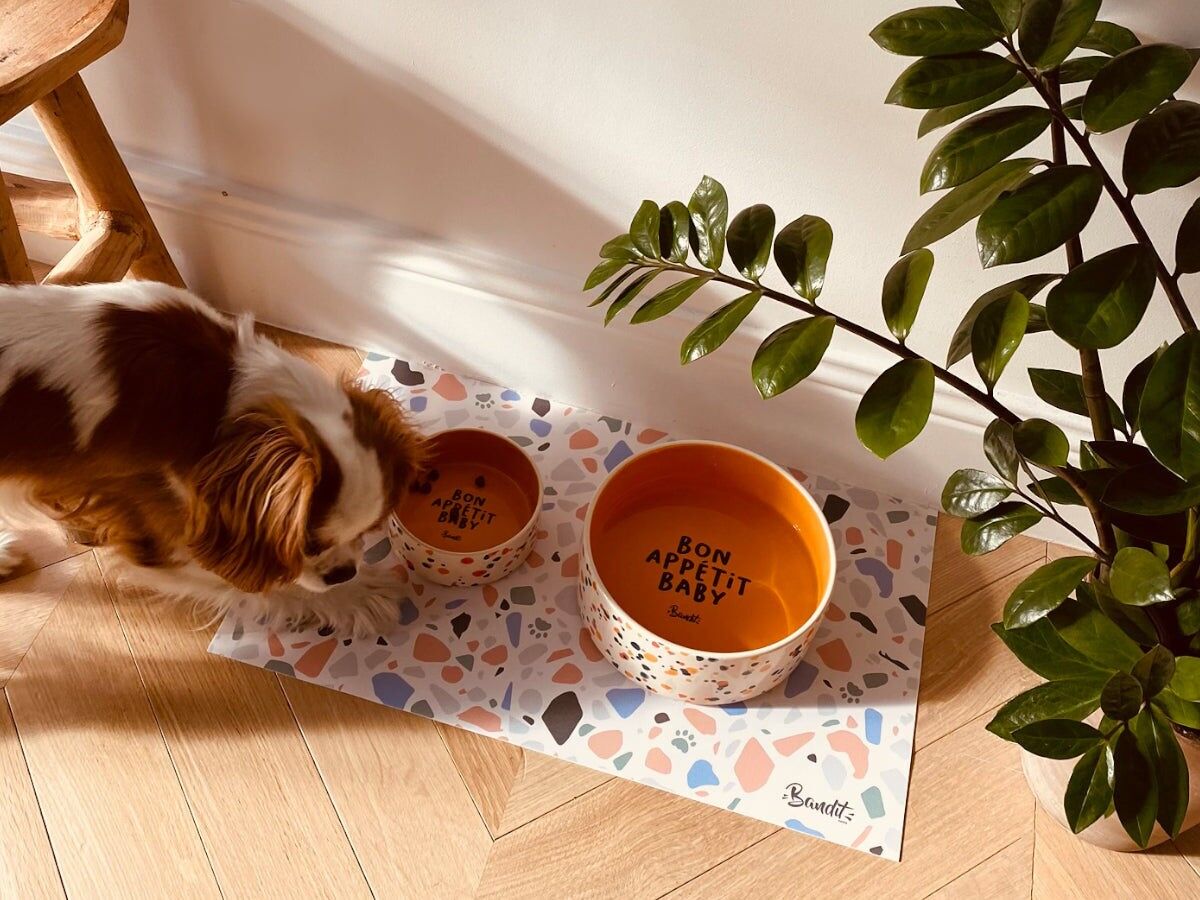 Gamelle pour chien  chat - Vue 5