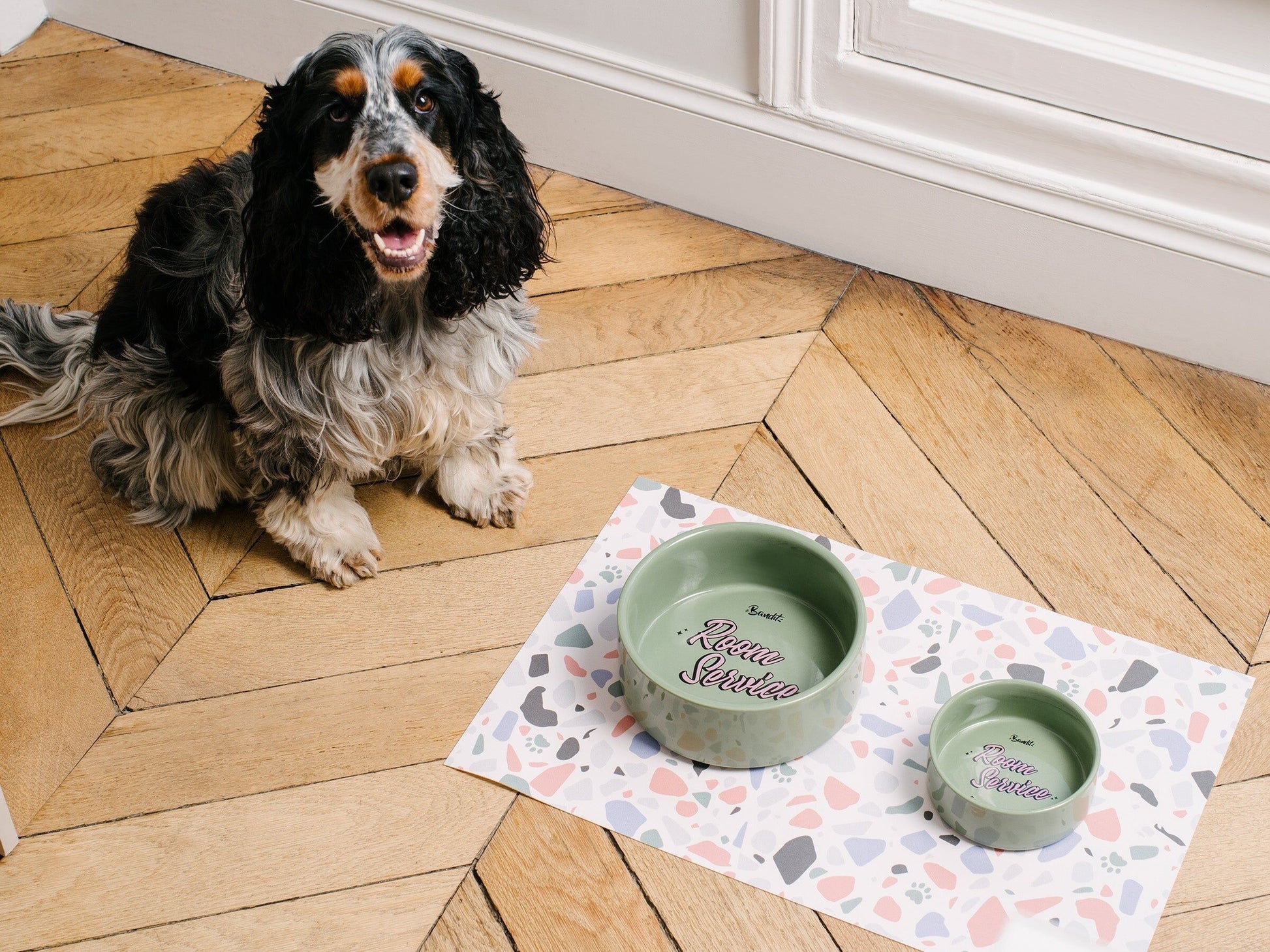 Gamelle verte pour chien  chat - Vue 3