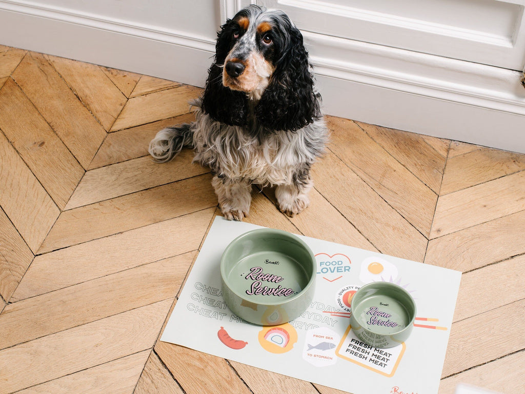 Gamelle verte pour chien  chat - Vue 4