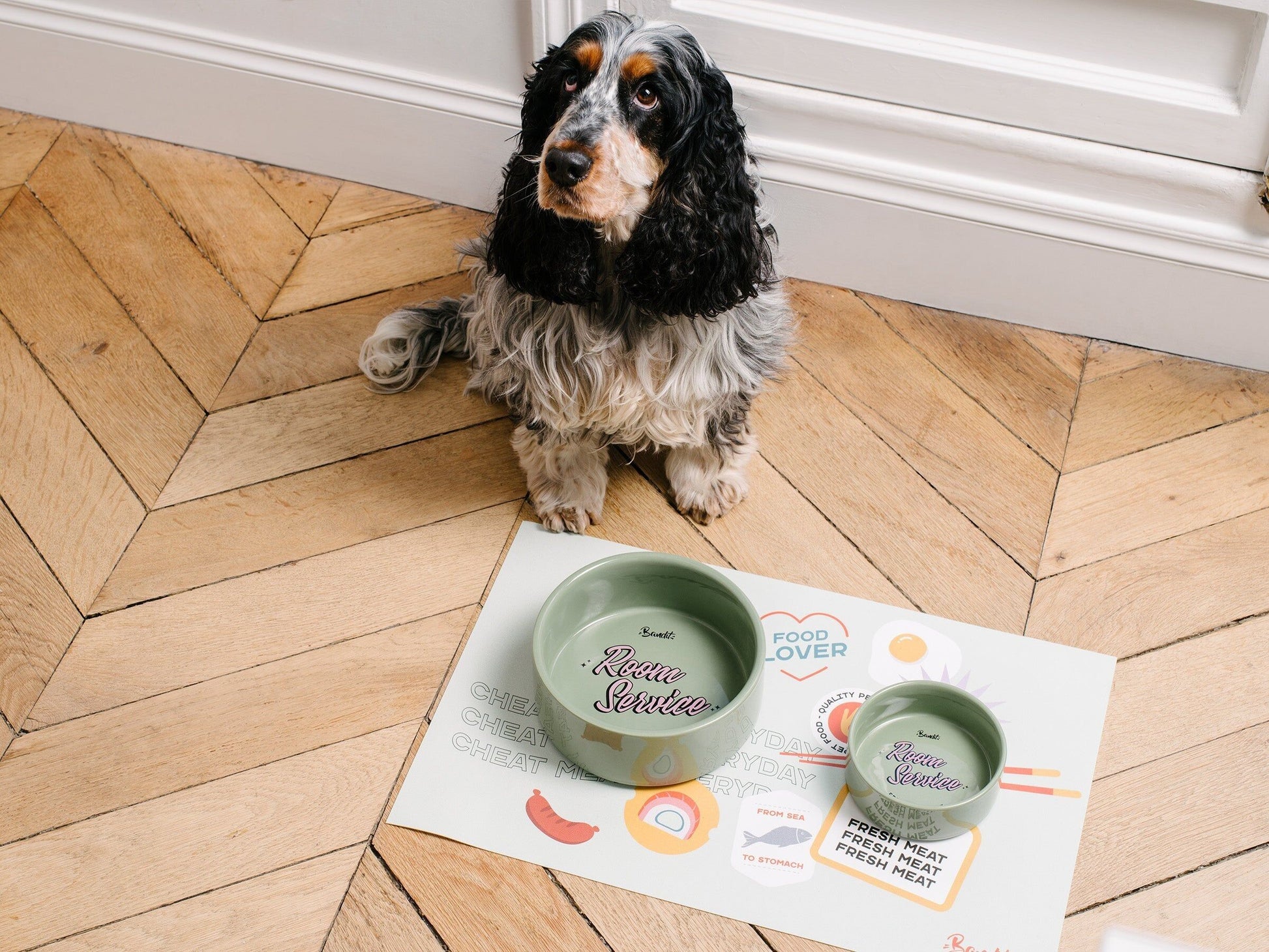 Gamelle verte pour chien  chat - Vue 4