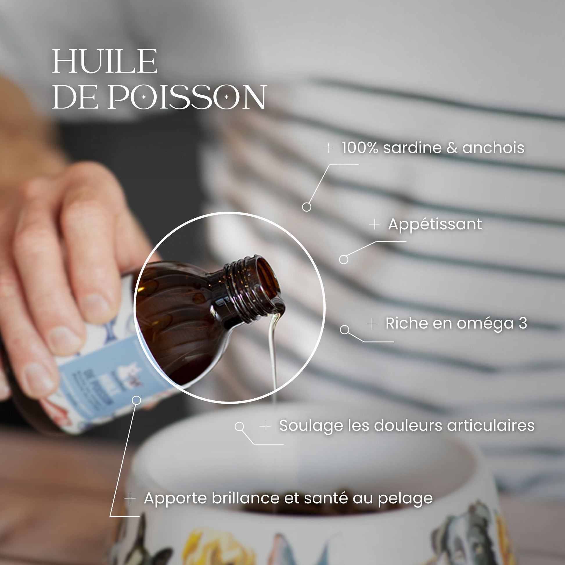 Huile de Sardines et Anchois Sauvages 200ml - Dexter & Mango