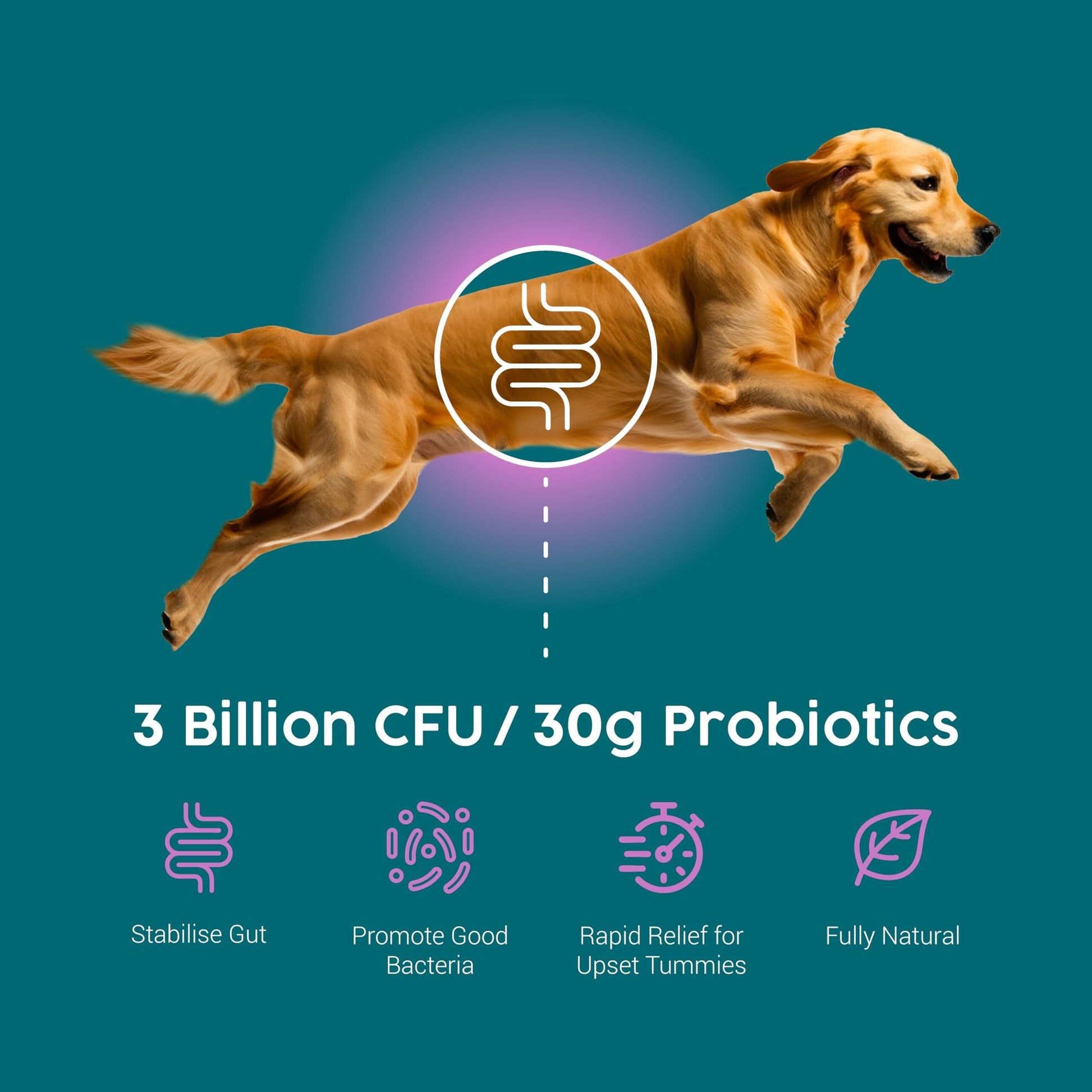 Sachet recharge probiotique Zanipro Protum 150ml - Zanipro