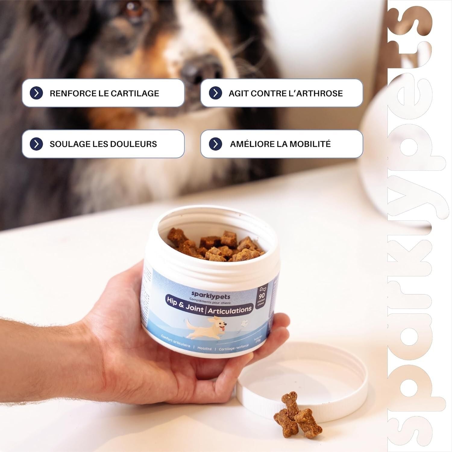 SparklyPets Complement articulaire Hip & Joint pour chien - SparklyPets