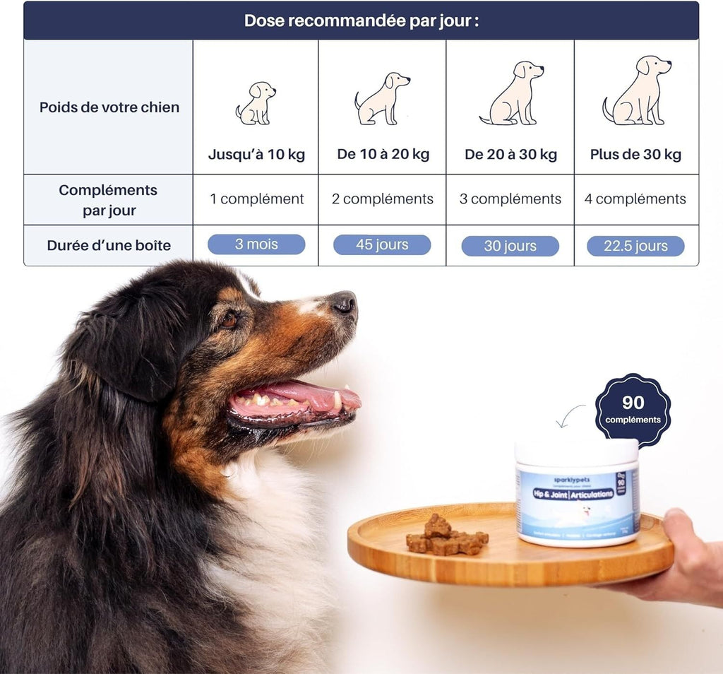 SparklyPets Complement articulaire Hip & Joint pour chien - SparklyPets