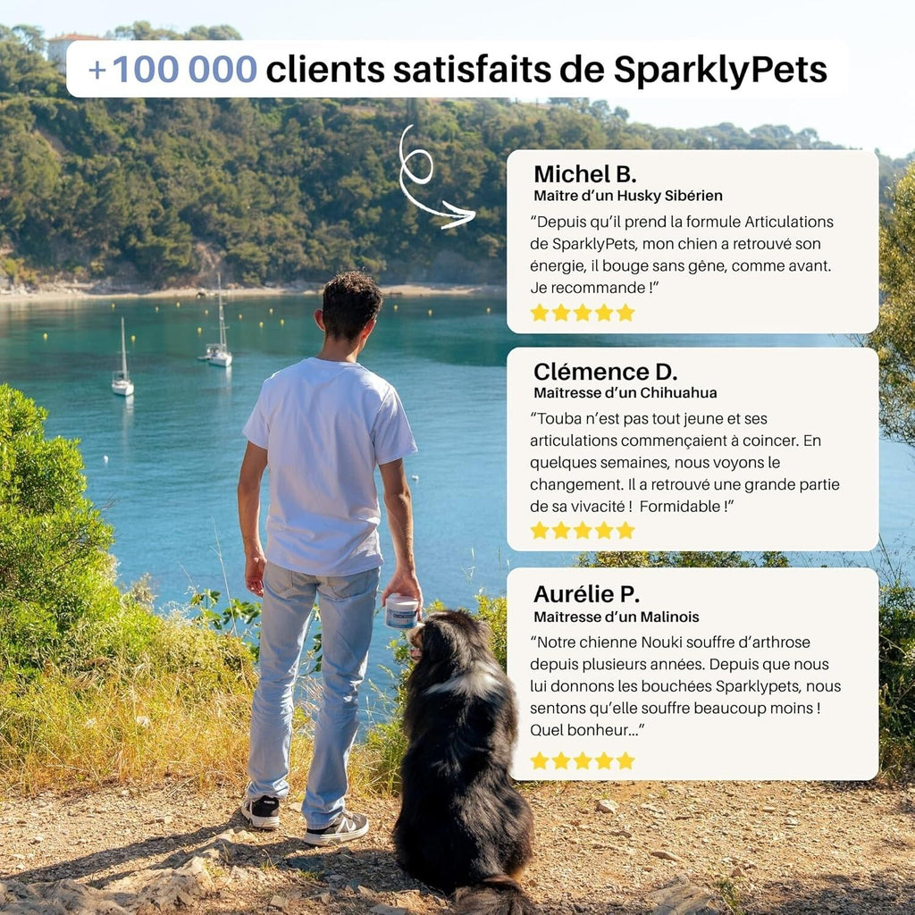 SparklyPets Complement articulaire Hip & Joint pour chien - SparklyPets
