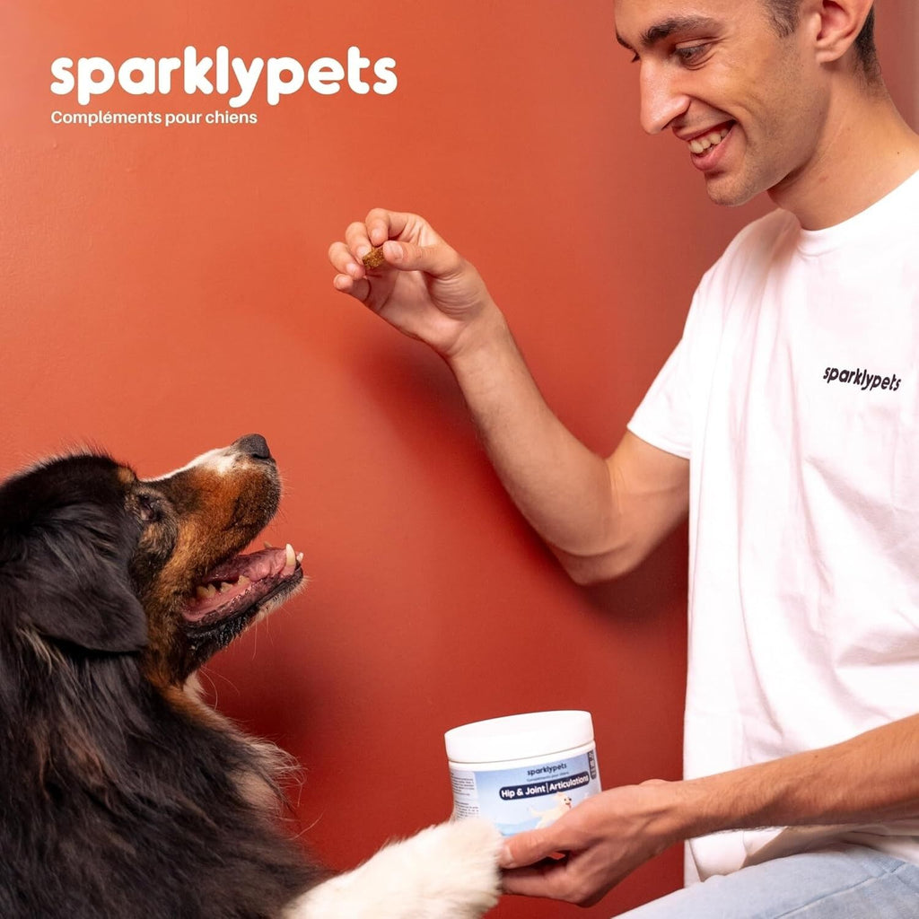 SparklyPets Complement articulaire Hip & Joint pour chien - SparklyPets
