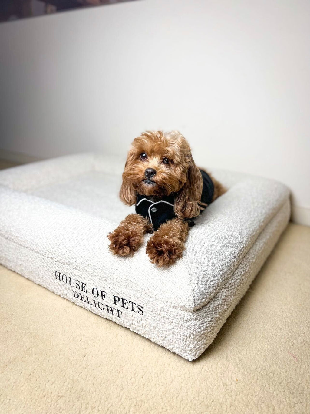 Lit mémoire de forme bouclé pour chien moyen - House of Pets Delight - House of Pets Delight