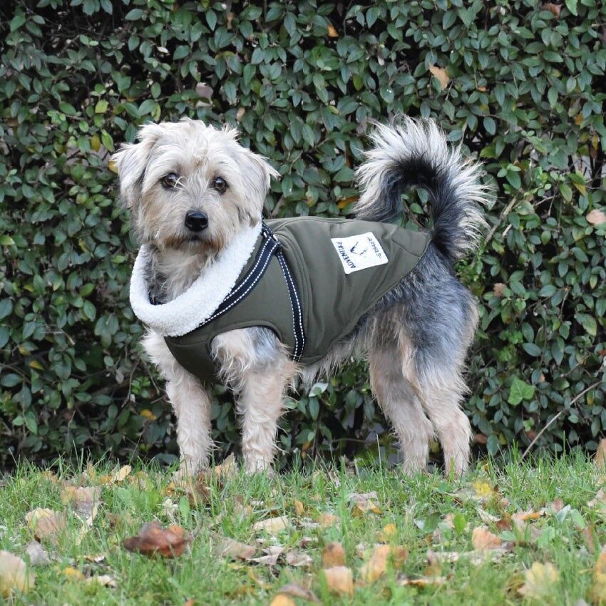 Manteau City rembourre avec harnais integre pour chien - Croci - Croci