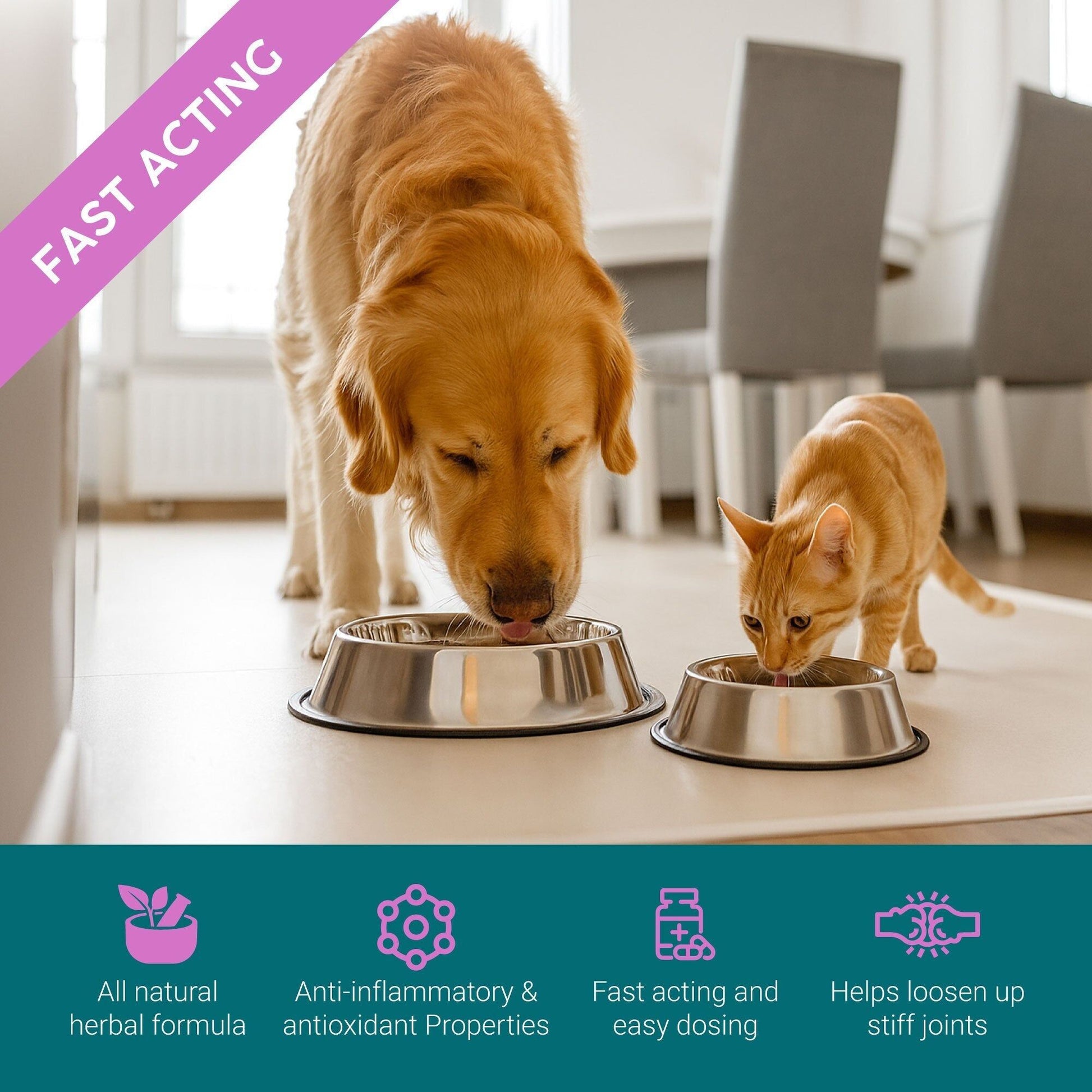 ProKopp Gouttes Soin Hanches & Articulations pour chien 50ml - Zanipro