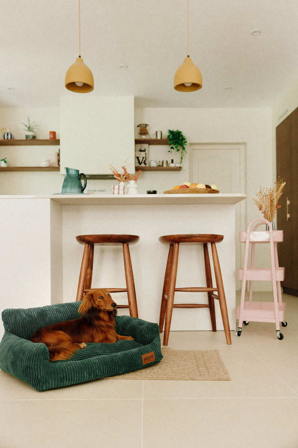 Panier orthopédique pour chien vert - Velours tricoté 100% recyclé - Milou Pets