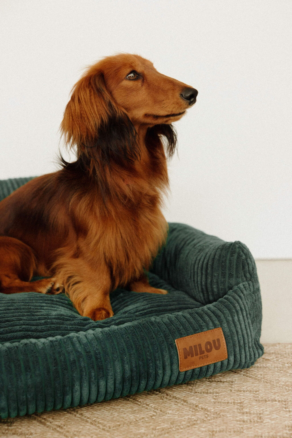 Panier orthopédique pour chien vert - Velours tricoté 100% recyclé - Milou Pets