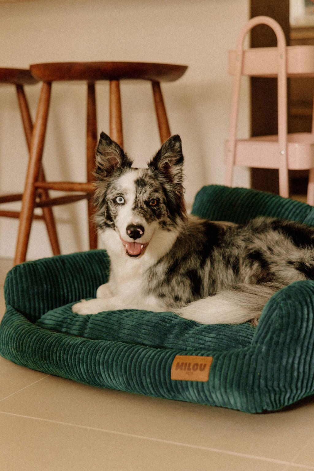 Panier orthopédique pour chien vert - Velours tricoté 100% recyclé - Milou Pets