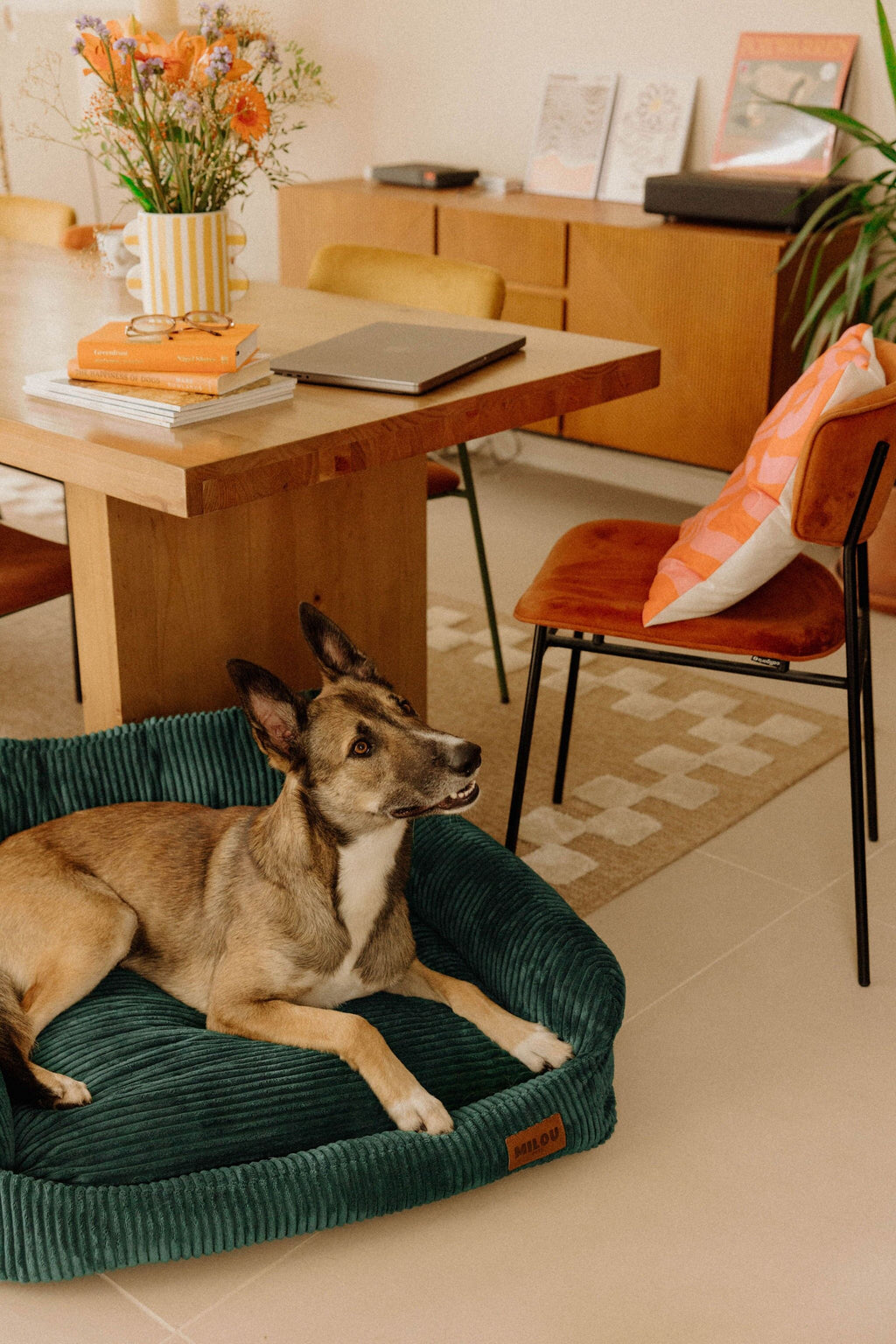 Panier orthopédique pour chien vert - Velours tricoté 100% recyclé - Milou Pets