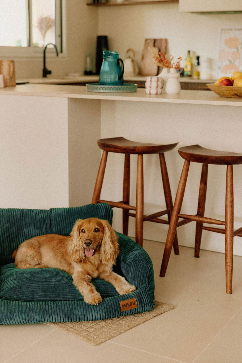 Panier orthopédique pour chien vert - Velours tricoté 100% recyclé - Milou Pets