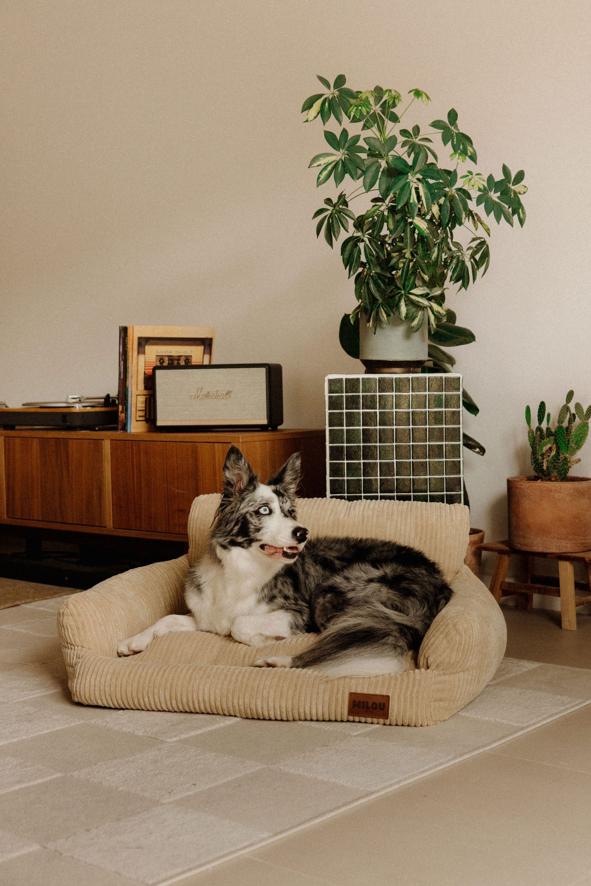 Panier orthopédique pour chien beige - Velours tricoté 100% recyclé - Milou Pets