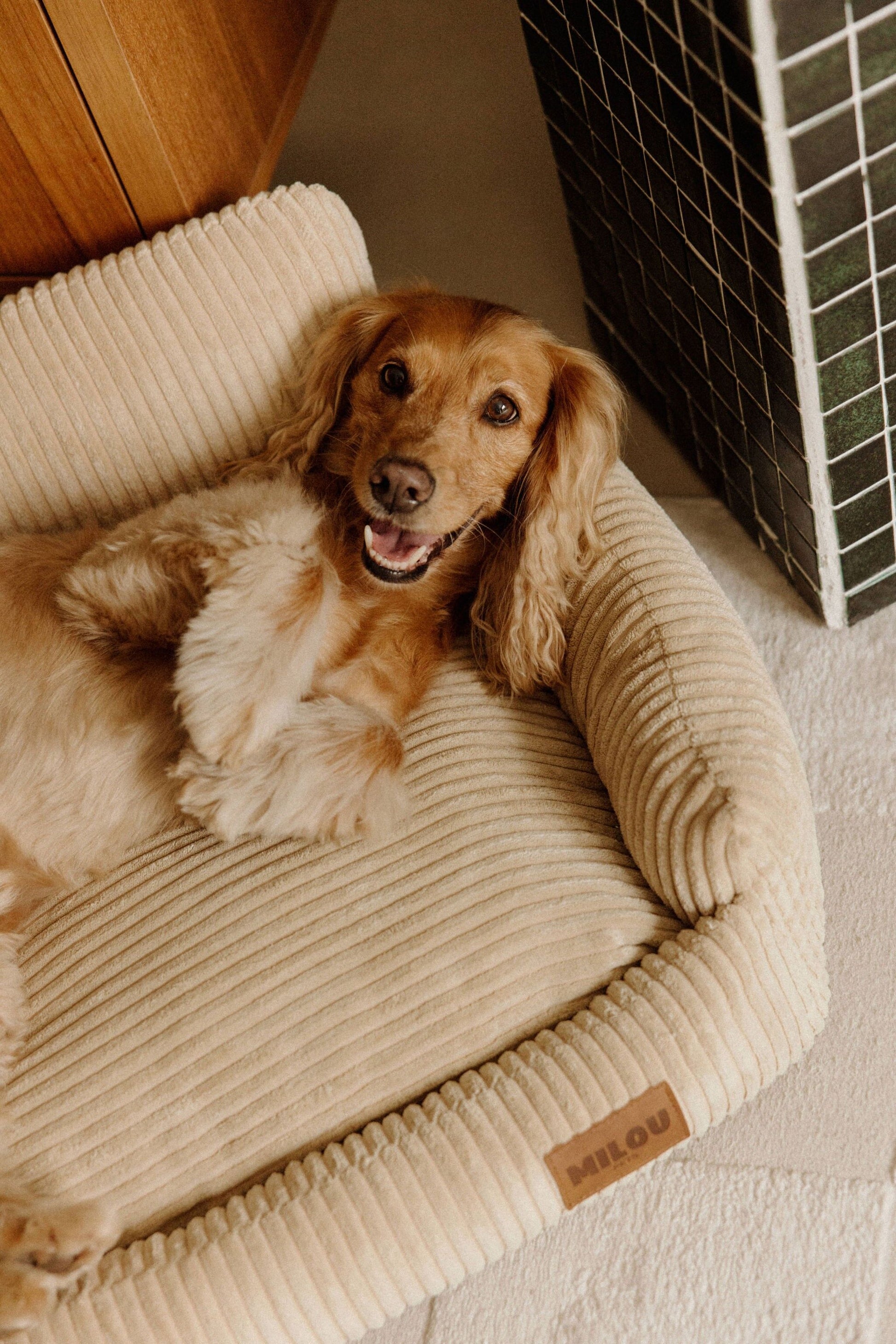 Panier orthopédique pour chien beige - Velours tricoté 100% recyclé - Milou Pets