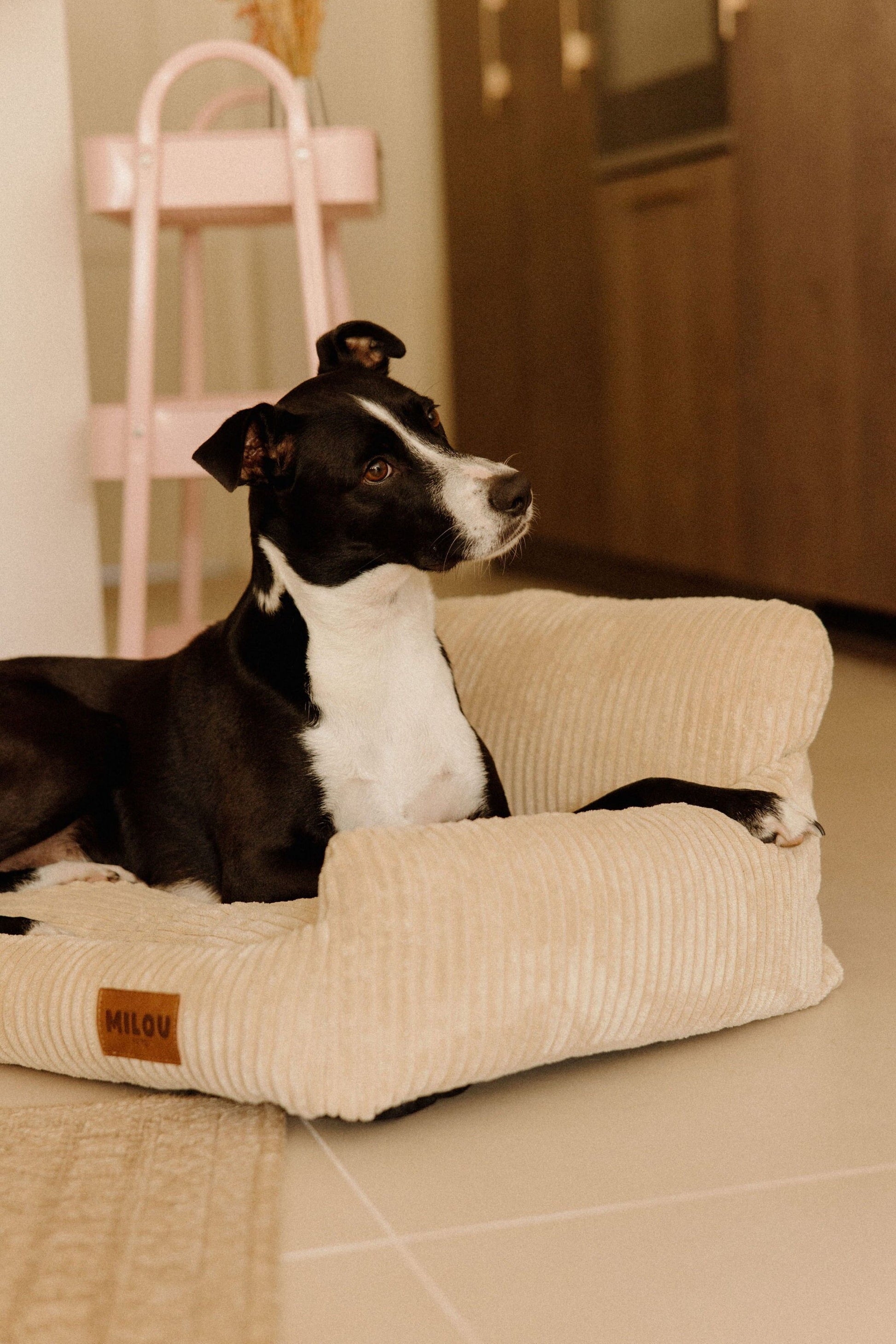 Panier orthopédique pour chien beige - Velours tricoté 100% recyclé - Milou Pets