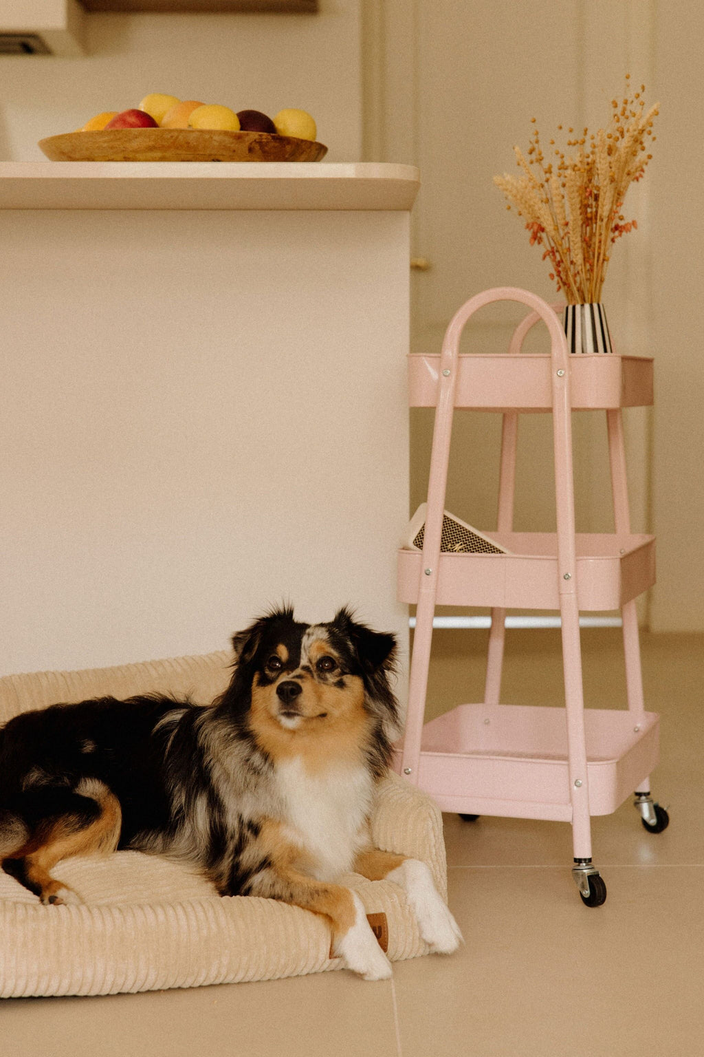 Panier orthopédique pour chien beige - Velours tricoté 100% recyclé - Milou Pets