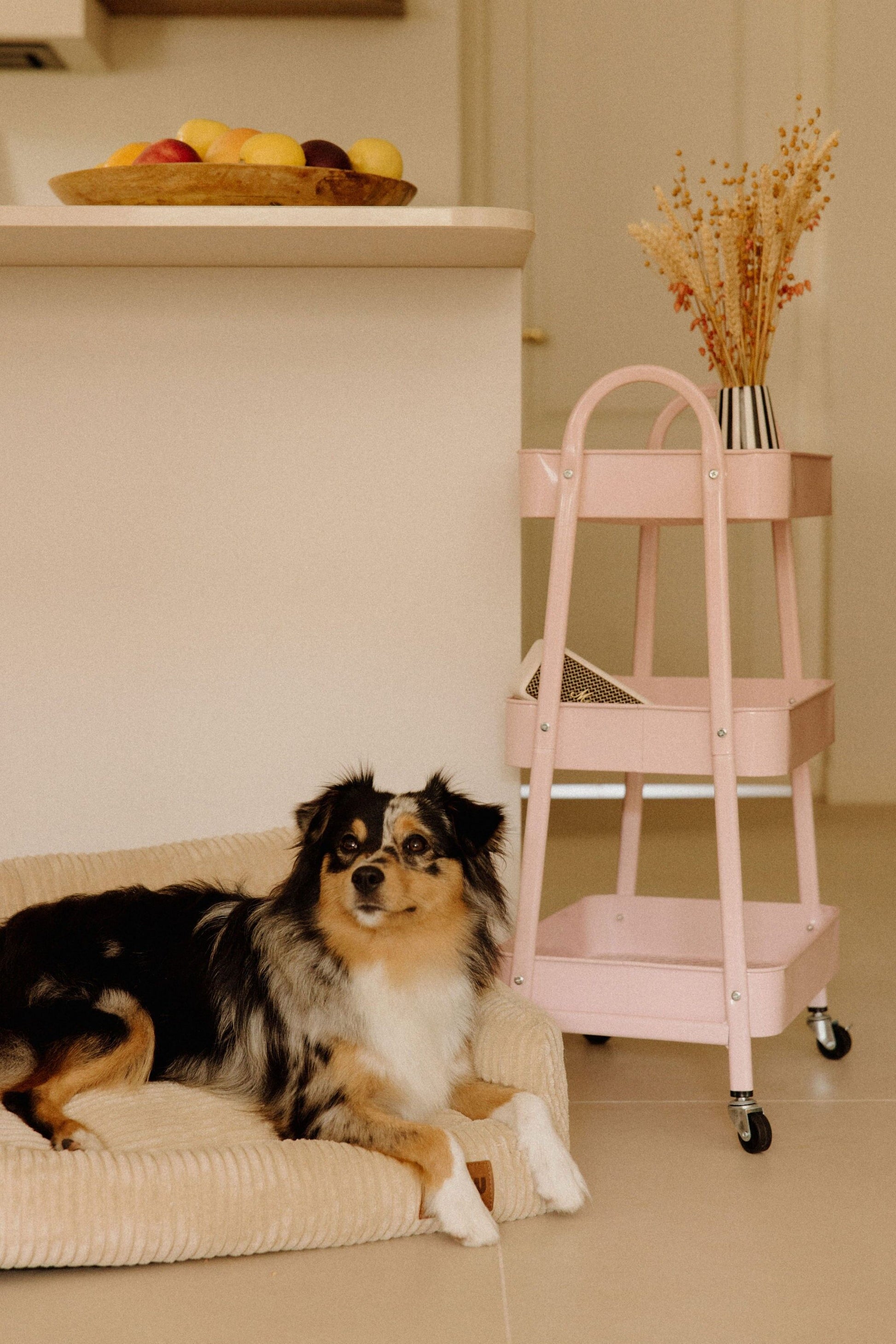 Panier orthopédique pour chien beige - Velours tricoté 100% recyclé - Milou Pets