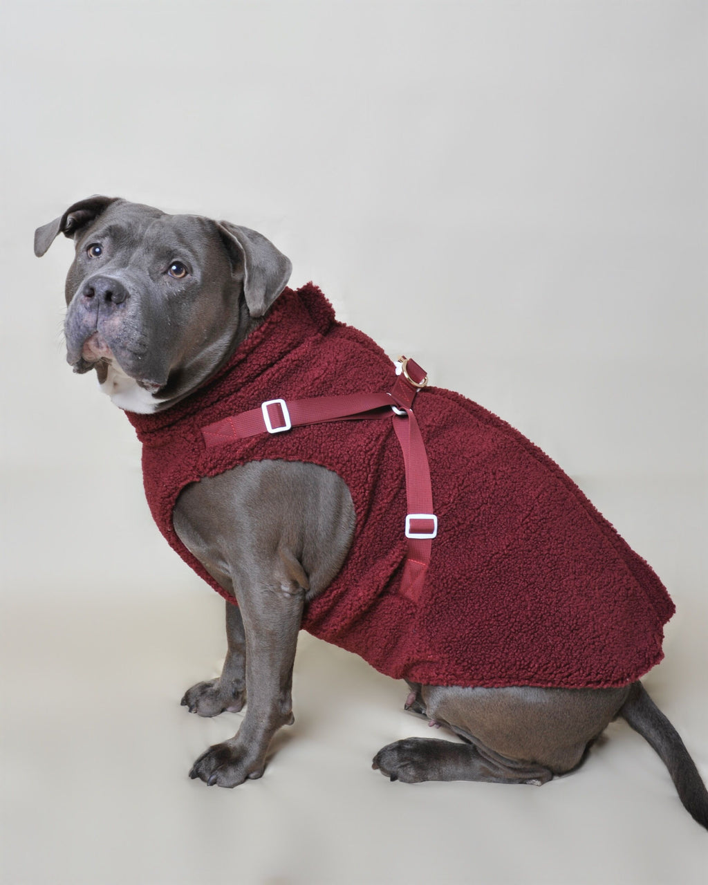 Manteau moumoute pour chien - Rouge bordeaux - Vue 2