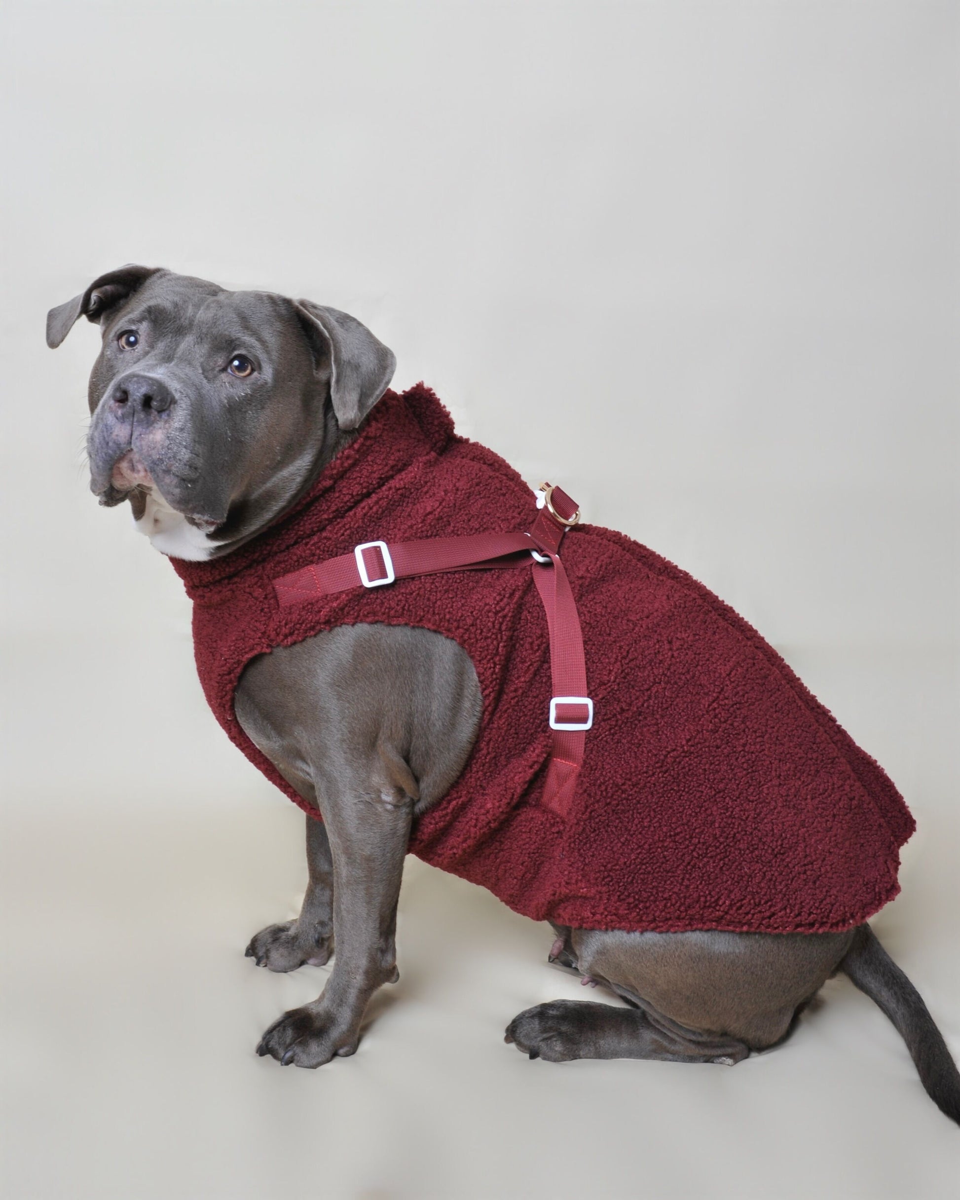Manteau moumoute pour chien - Rouge bordeaux - Vue 2