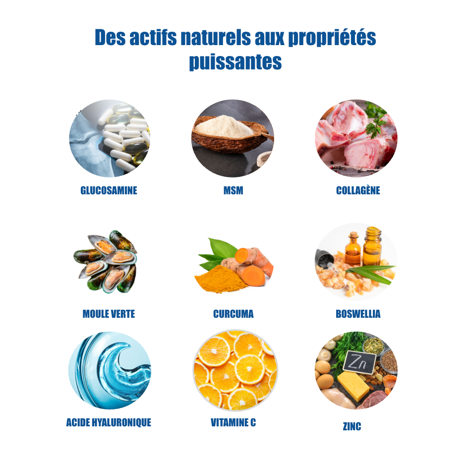Formule Articulations pour chien - Hatchi - Hatchi