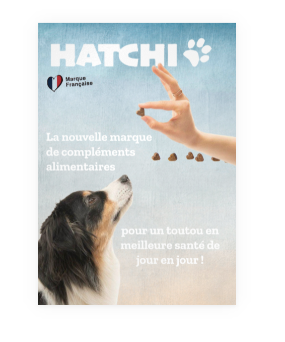 Formule Articulations pour chien - Hatchi - Hatchi