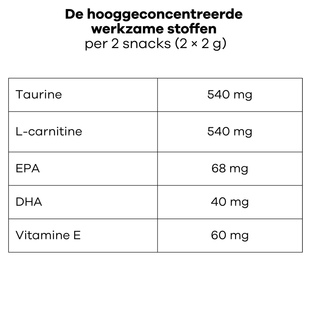 Complement Neuro Cardio pour chien et chat senior - Treatsy - Treatsy Animal Health