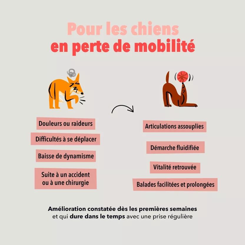 Bouchees Soutien Articulaire pour chien - Delamour - Delamour