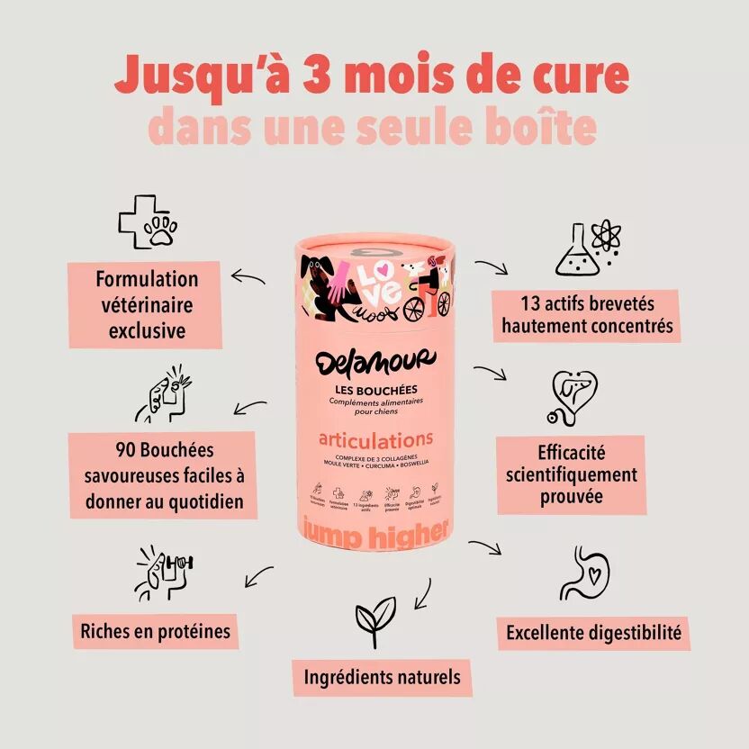 Bouchees Soutien Articulaire pour chien - Delamour - Delamour