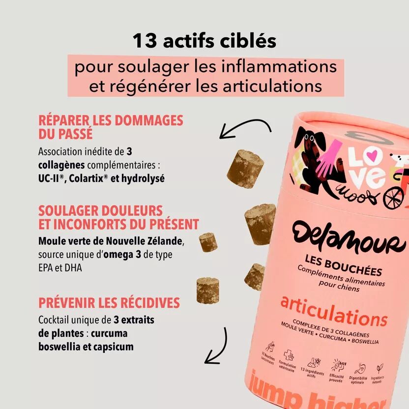 Bouchees Soutien Articulaire pour chien - Delamour - Delamour