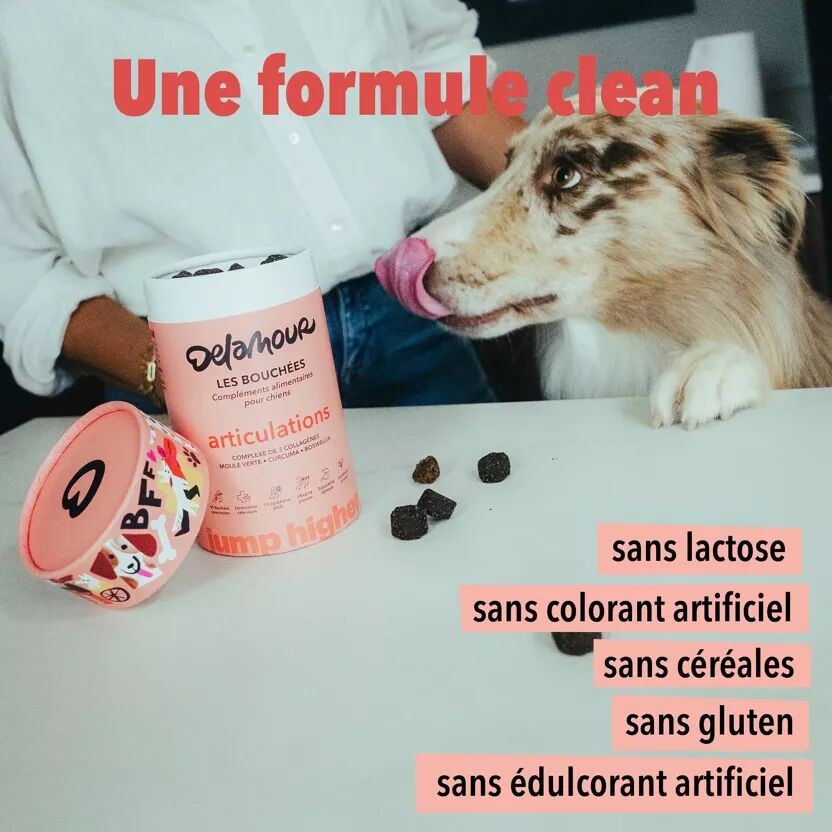Bouchees Soutien Articulaire pour chien - Delamour - Delamour