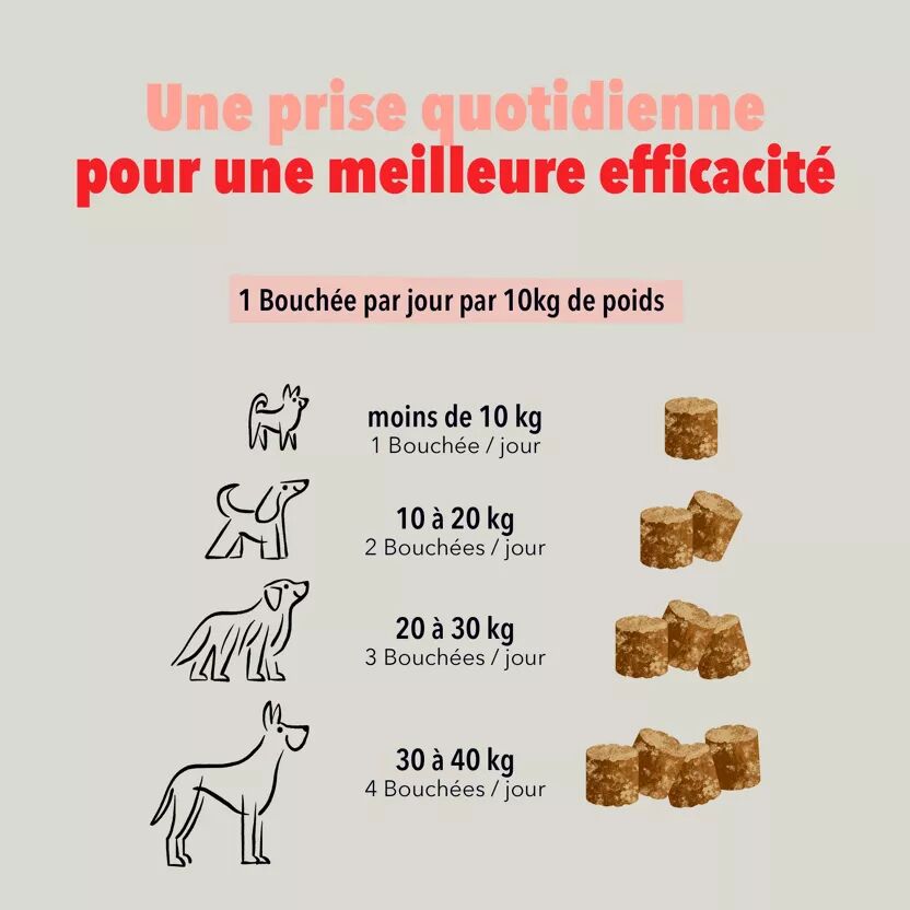 Bouchees Soutien Articulaire pour chien - Delamour - Delamour
