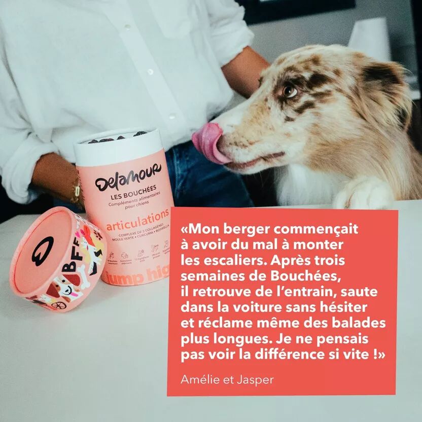 Bouchees Soutien Articulaire pour chien - Delamour - Delamour