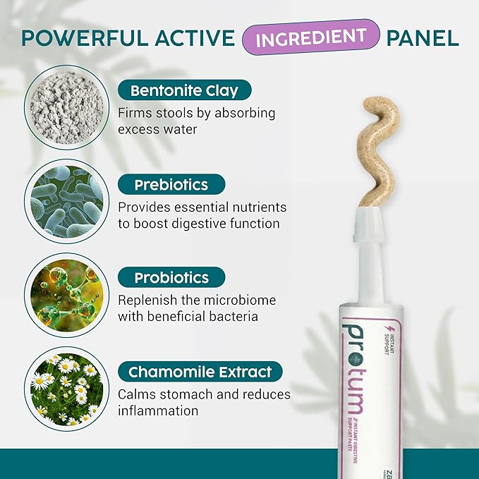 Pâte probiotique Zanipro Protum pour chiens 30ml - Vue 5