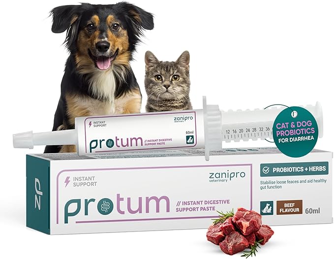 Pâte probiotique Zanipro Protum pour chiens 30ml - Vue 3