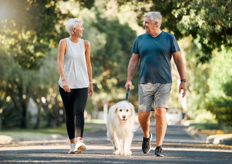 Propri&eacute;taire prenant soin de son chien senior